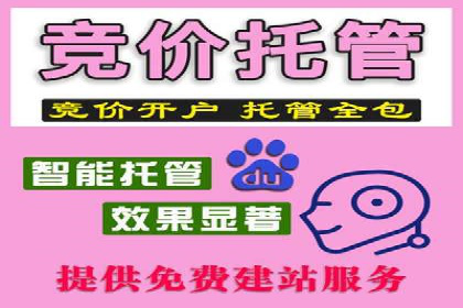 SEM竞价代运营成功案例解析